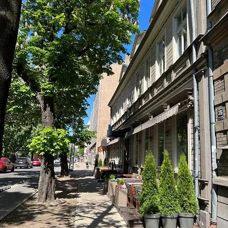 Modern In City Center! Apartment